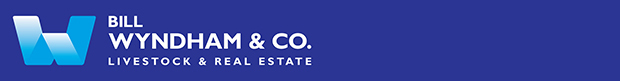 Bill Wyndham & Co Real Estate